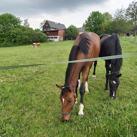 Glamping-Paradies Am Dengler Hof Hohenberg an der Eger Zewnętrze zdjęcie